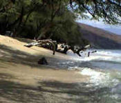 Ukumehame and Papalaua Parks Photo